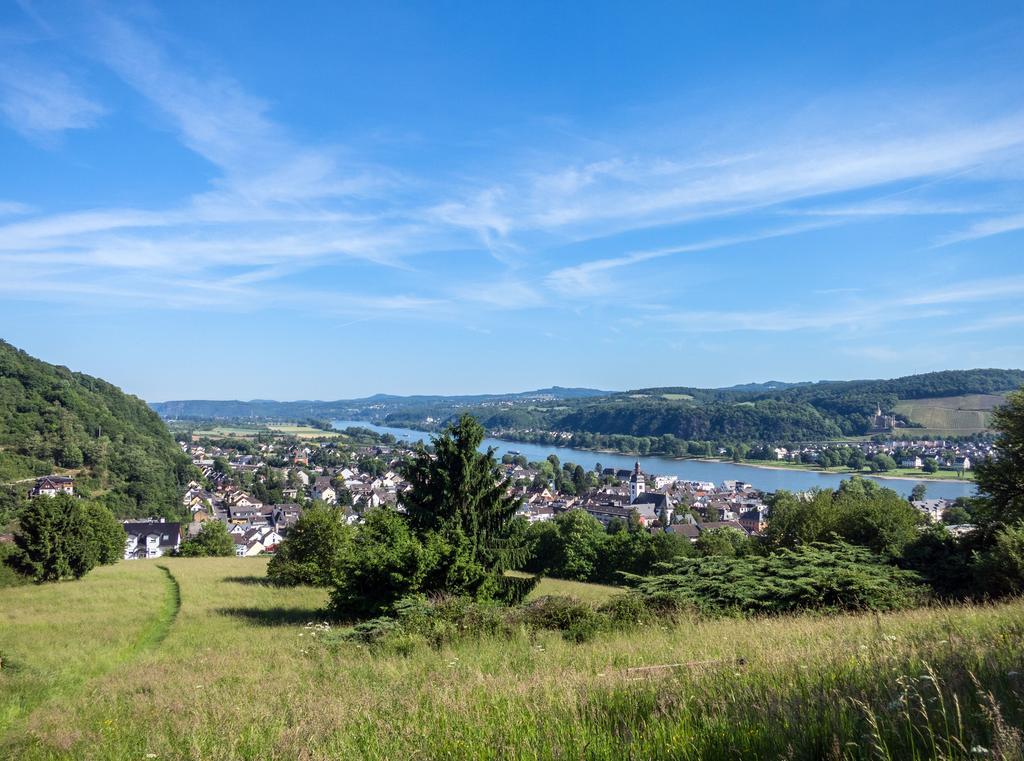Hotel Und Landgasthof Zum Bockshahn Spessart  Экстерьер фото