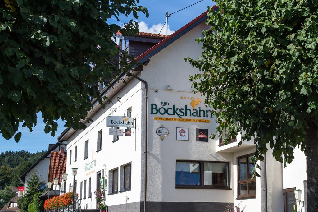 Hotel Und Landgasthof Zum Bockshahn Spessart  Экстерьер фото