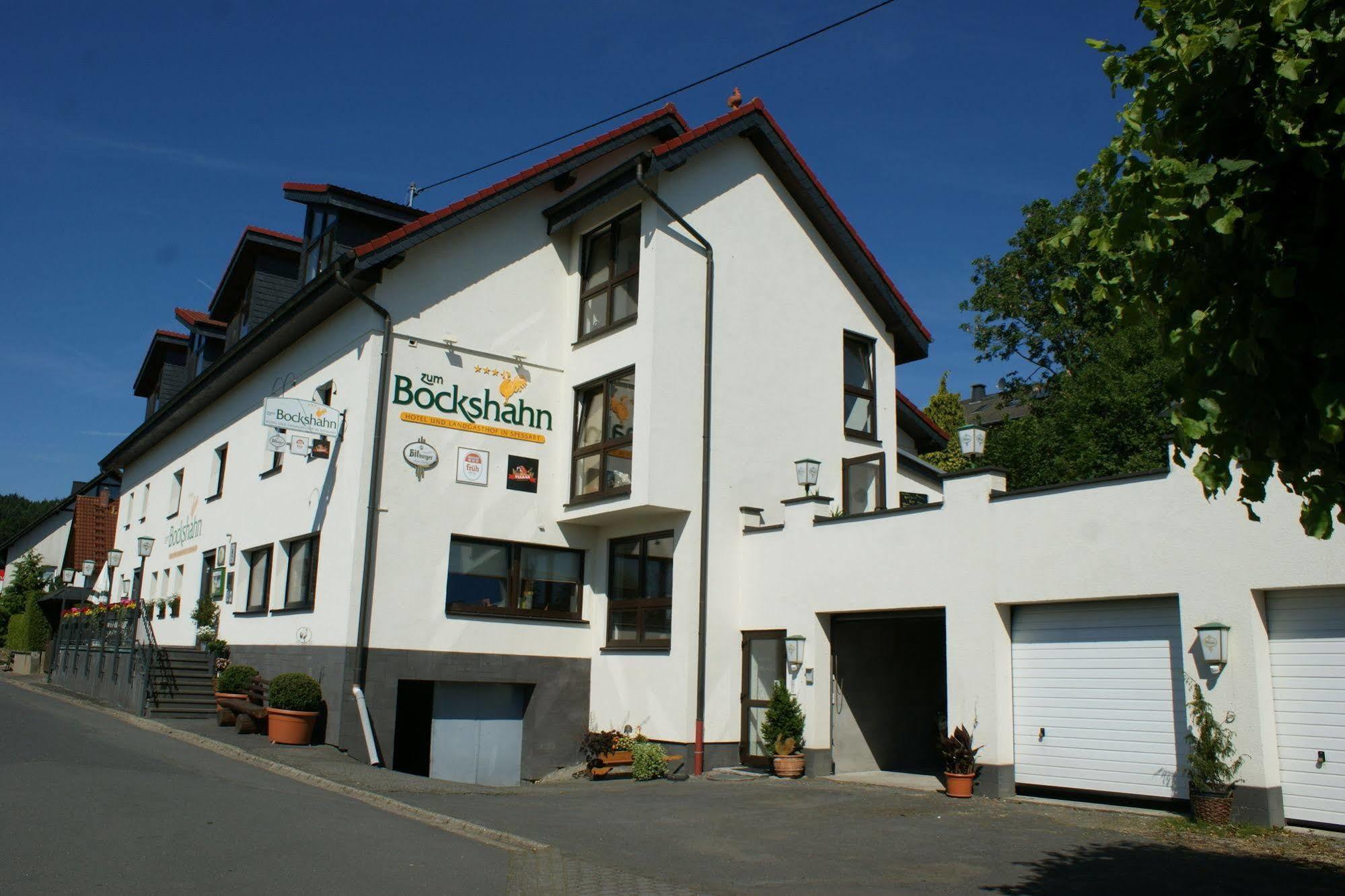 Hotel Und Landgasthof Zum Bockshahn Spessart  Экстерьер фото
